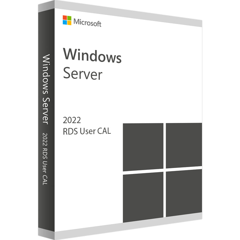 Microsoft Windows Remote Desktop Services 2022 - 1 User CAL (PC)