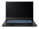 Captiva Notebook Advanced Gaming i7-13620H (17.3", 32GB, 2TB SSD, GeForce RTX 5060 8GB)