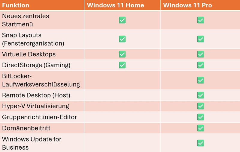 Microsoft Windows 11 Professional 64Bit ESD 24/7 Download
